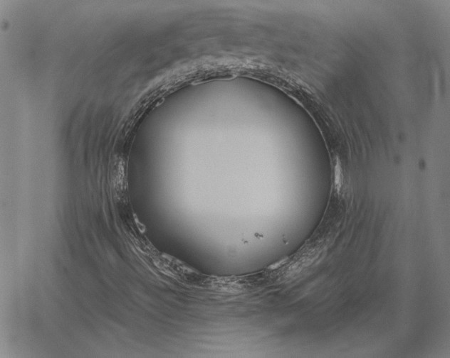 X0000067341492200604131712