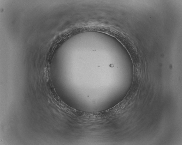 X0000067341493200604131712