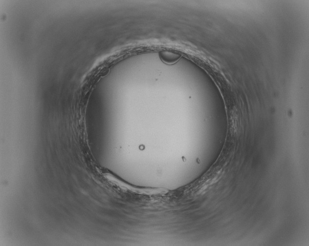 X0000067341494200604131712