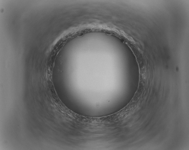 X0000067341495200604131712