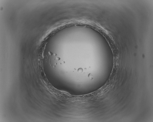 X0000067341496200604131712