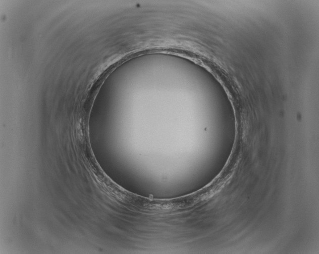 X0000067341497200604131712