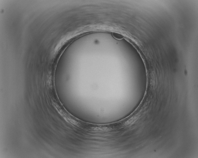 X0000067341499200604131712