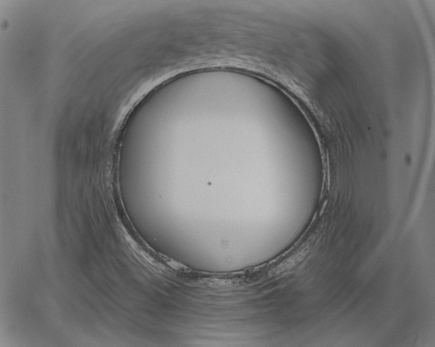 X0000067341500200604131712