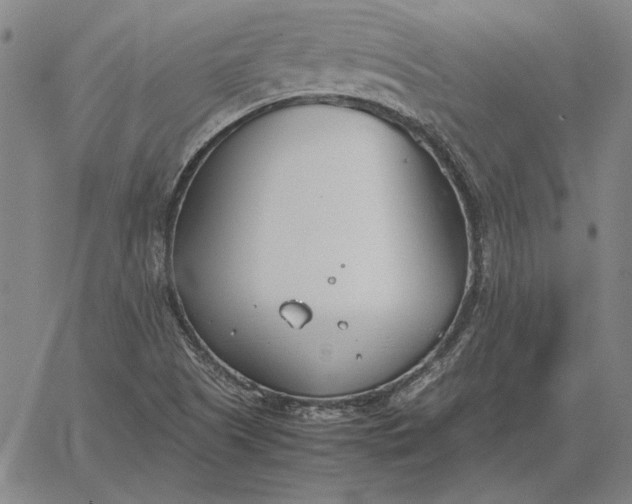 X0000067341505200604131713