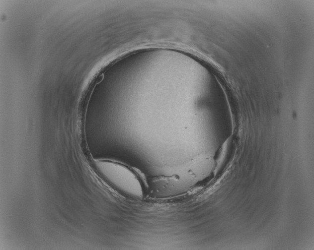 X0000067341506200604131713