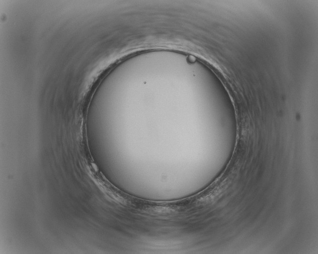 X0000067341507200604131713