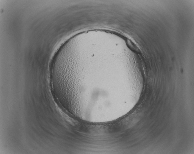 X0000067341508200604131713