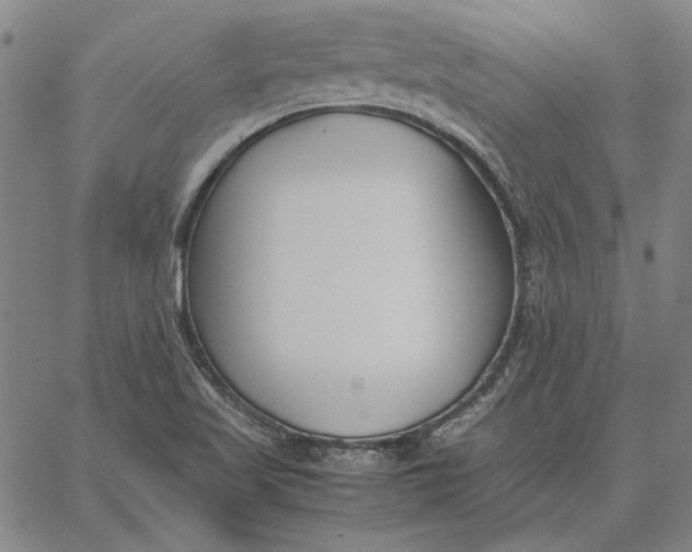 X0000067341509200604131713