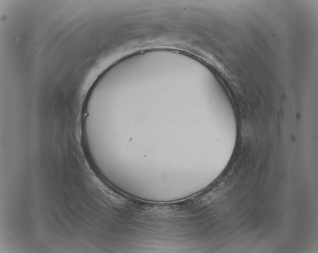 X0000067341512200604131713