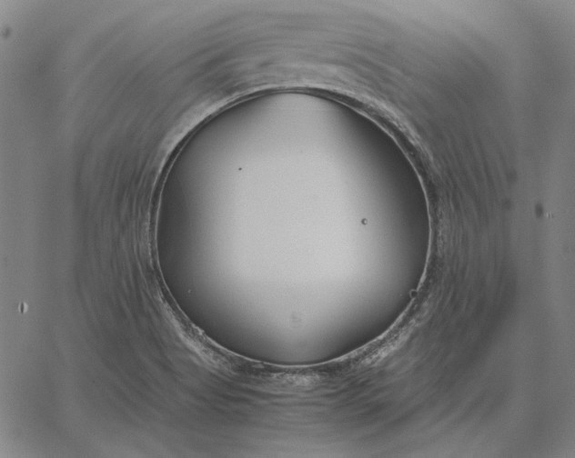 X0000067341513200604131713