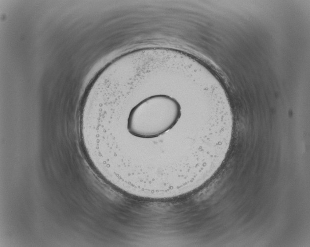 X0000067341514200604131713