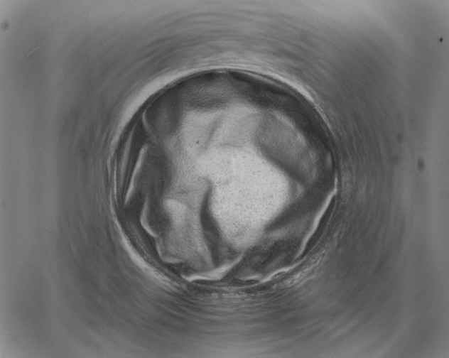 X0000067341515200604131713