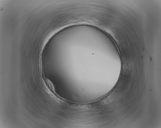 X0000067341516200604131713