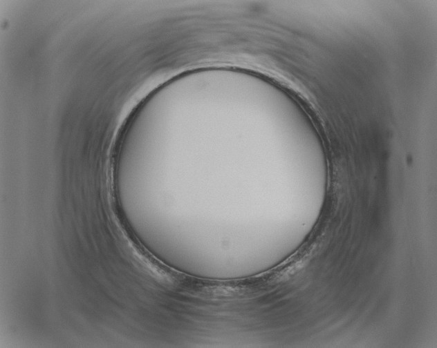 X0000067341517200604131713