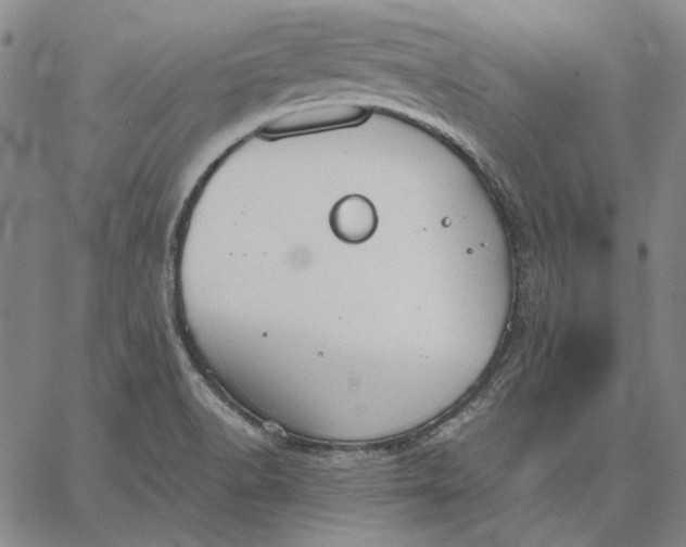 X0000067341518200604131713