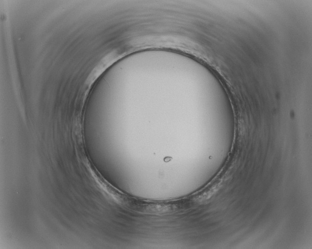 X0000067341521200604131713