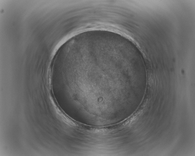 X0000067341522200604131713