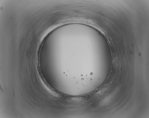 X0000067341523200604131713