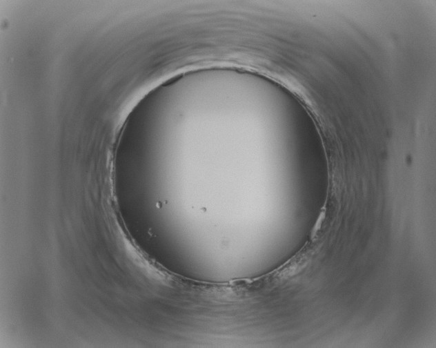 X0000067341524200604131713