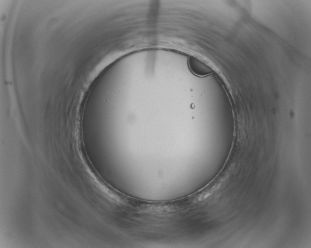 X0000067341525200604131713