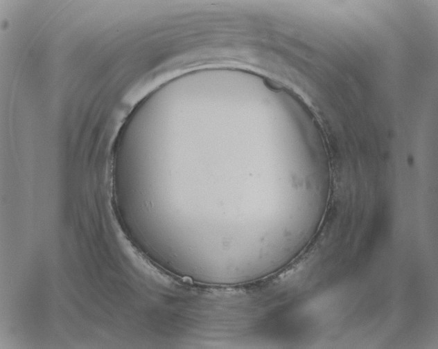 X0000067341526200604131713