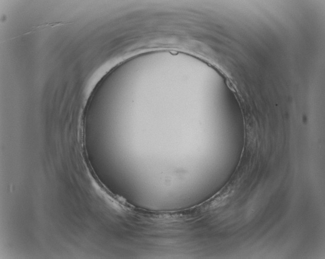 X0000067341527200604131713