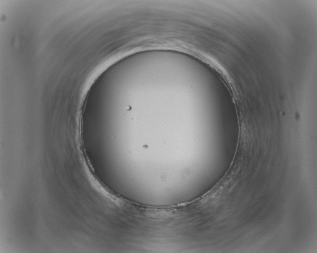 X0000067341528200604131713