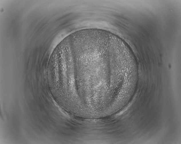 X0000067341529200604131713