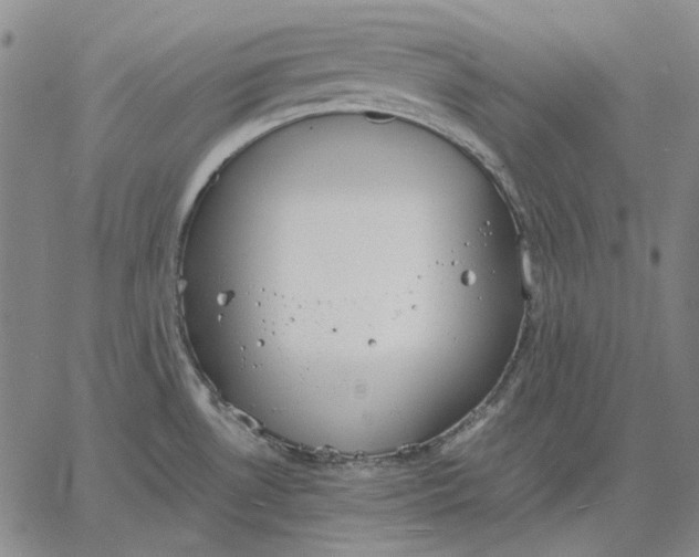 X0000067341530200604131713