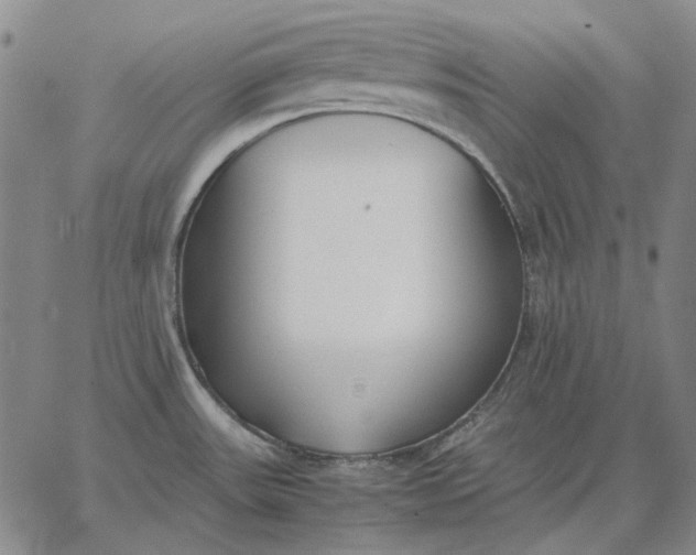 X0000067341531200604131713