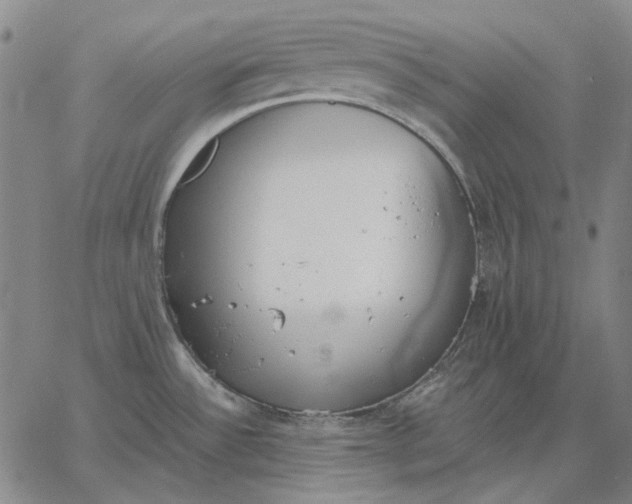 X0000067341532200604131713