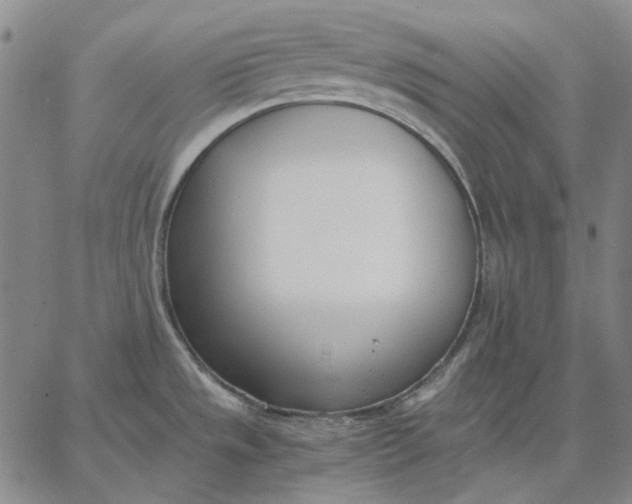 X0000067341533200604131713