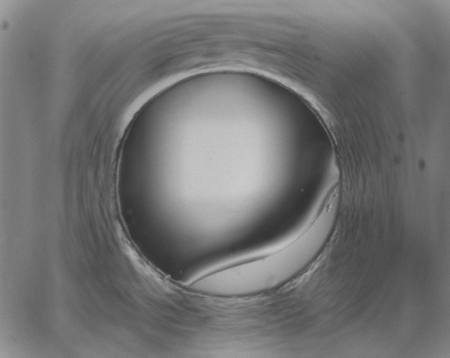 X0000067341534200604131713