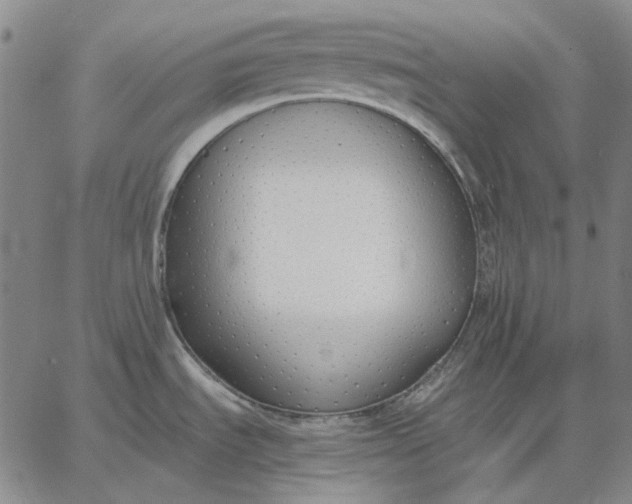 X0000067341535200604131713