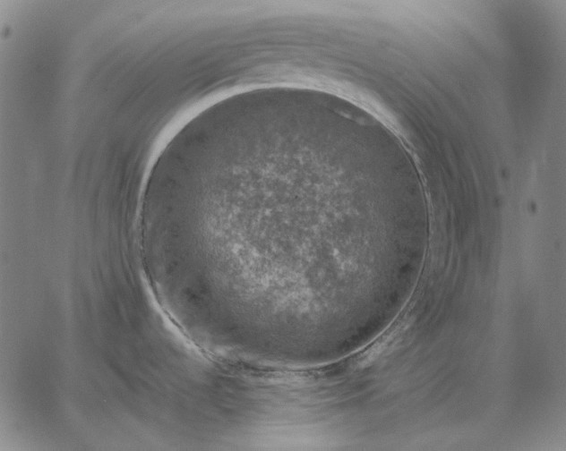 X0000067341536200604131713