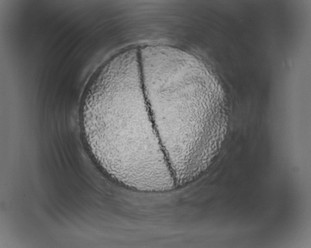 X0000067340002200604211948