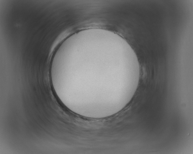 X0000067340004200604211947