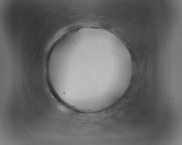 X0000067340005200604211947