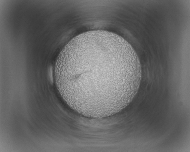X0000067340022200604211947
