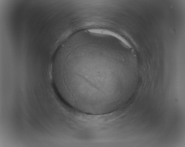 X0000067340023200604211947