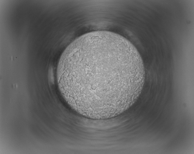 X0000067340026200604211947