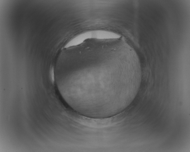 X0000067340027200604211947