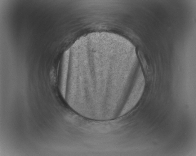 X0000067340029200604211947