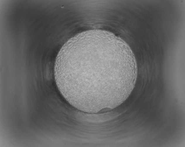 X0000067340030200604211947