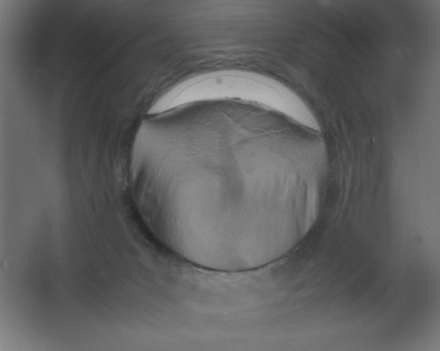 X0000067340031200604211947