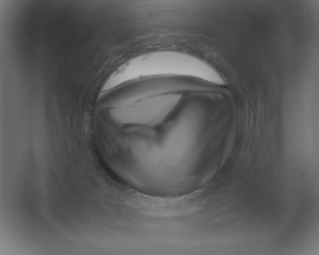 X0000067340035200604211947