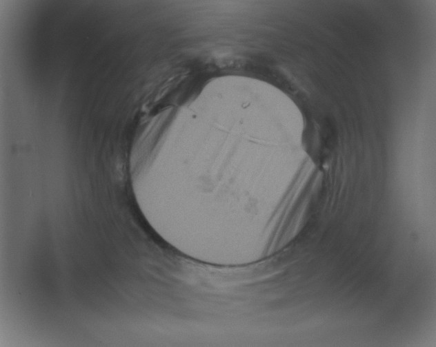 X0000067340039200604211947