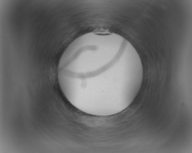 X0000067340040200604211947