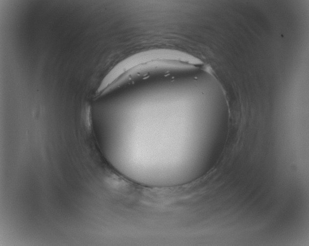 X0000067340041200604211947